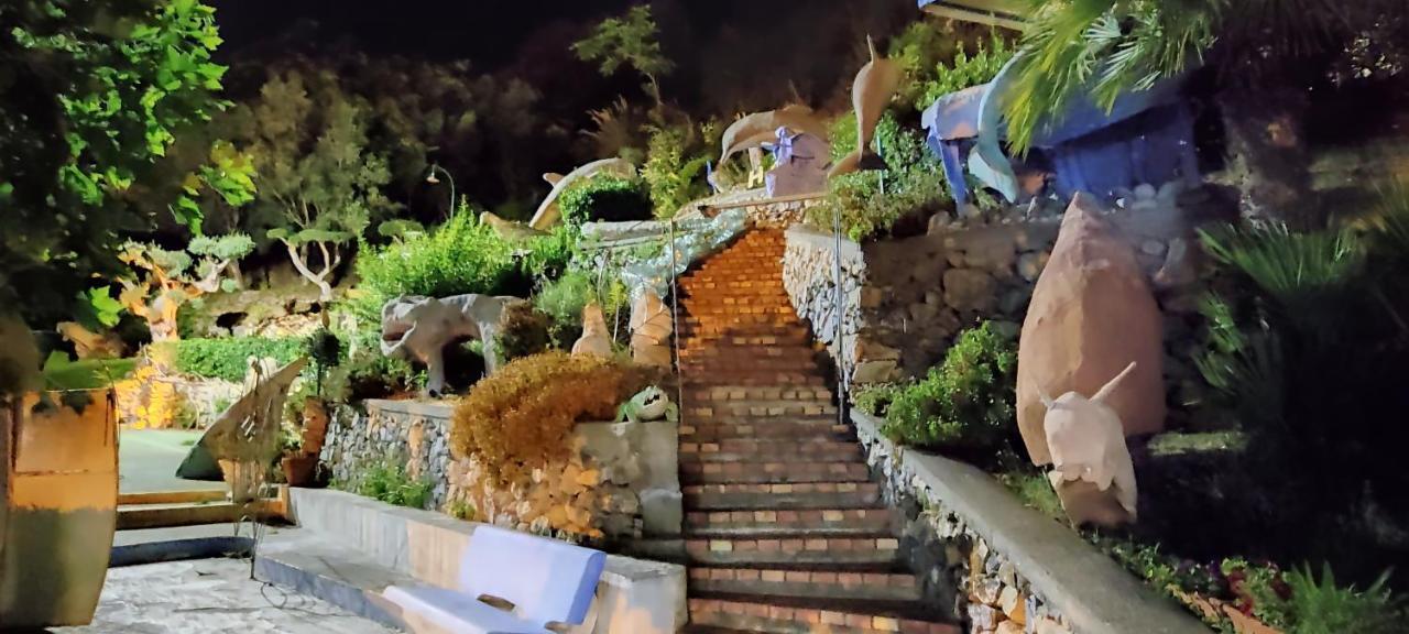 Hotel La Carruba Cetraro Εξωτερικό φωτογραφία