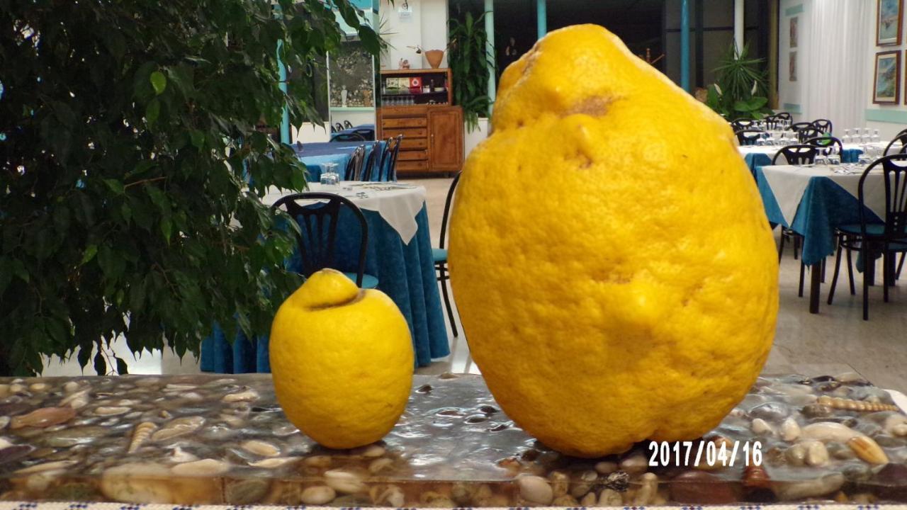 Hotel La Carruba Cetraro Εξωτερικό φωτογραφία